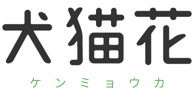 広陵町の「犬猫花」は、可愛いペットグッズやフラワーベースなどのクラフトグッズを制作・販売しています。